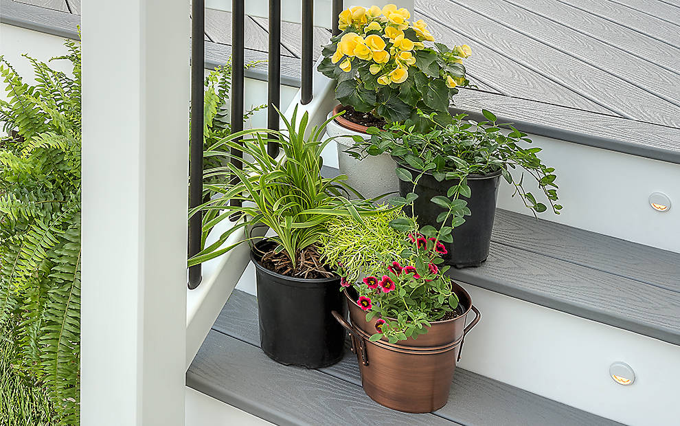 Deck Company Images